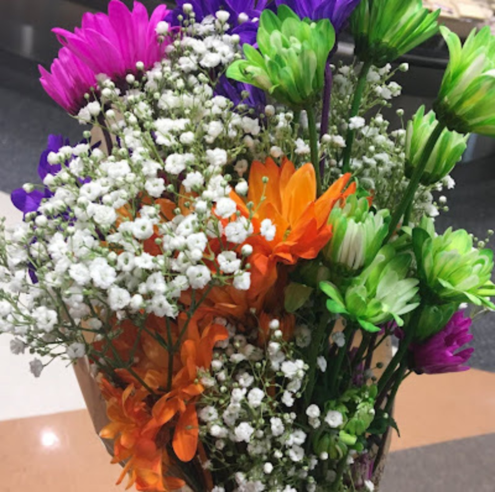 Meet your Posher, Deann